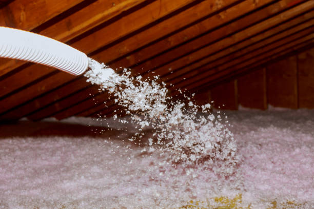Best Insulation Removal  in Cross Mountain, TX